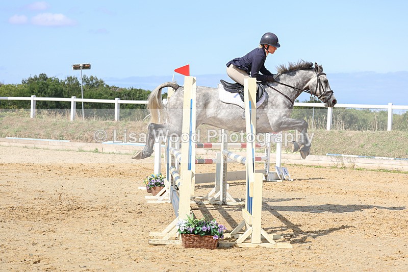 3E7A0704 - Class 4: Senior British Novice/90cm open