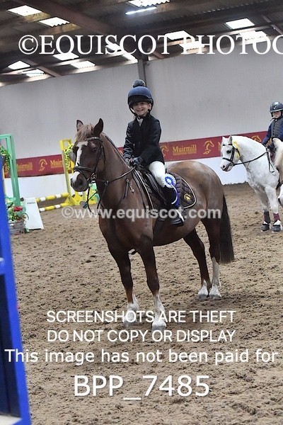 BPP_7485 - 40CM WORKING HUNTER