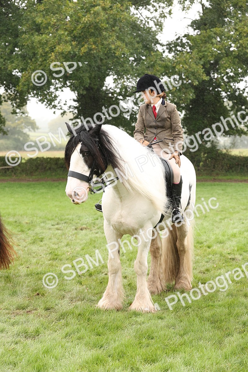 SBM_72751 - S70 - Traditional Cob Ridden
