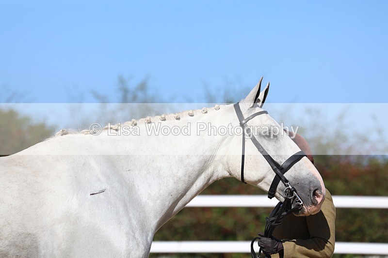 3E7A5568 - Class 9: Open Ridden Hunter
