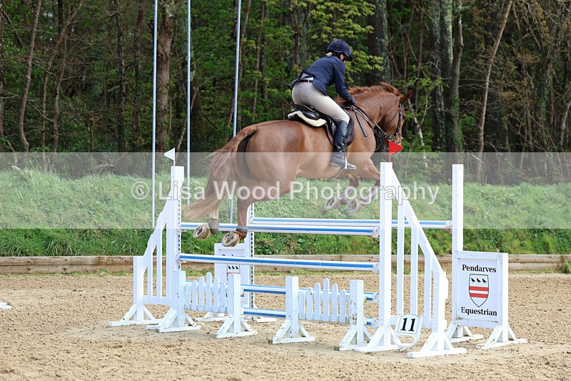 3E7A2124 - Class 8: Senior Foxhunter/1.20 open