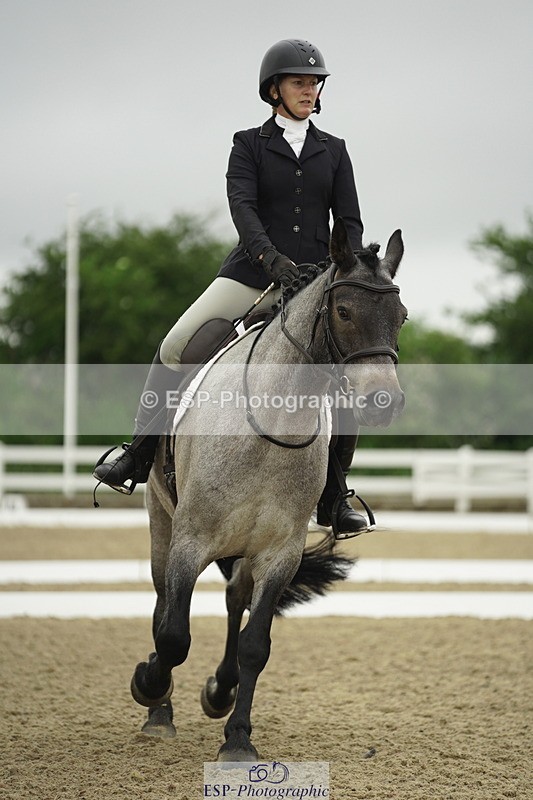 230708A-101004-00334 - Intro C