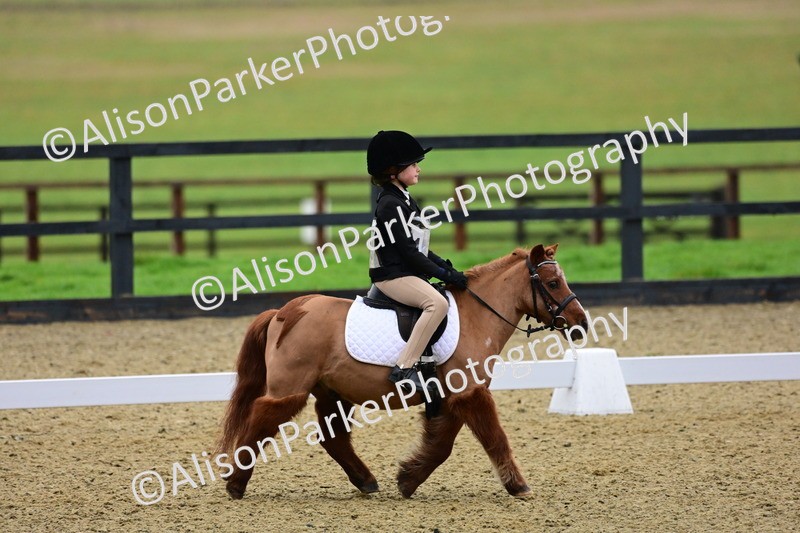 20260125-0562 - Class 9b - Walk Trot Unassisted