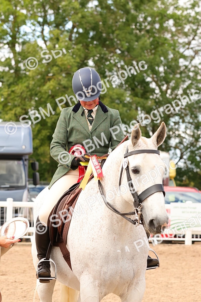 SBM_15579 - Class 214 - Ridden Show Cob