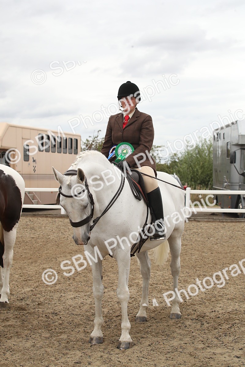 SBM_18316 - Class 509a - Working Veteran - 80cm (15-19)