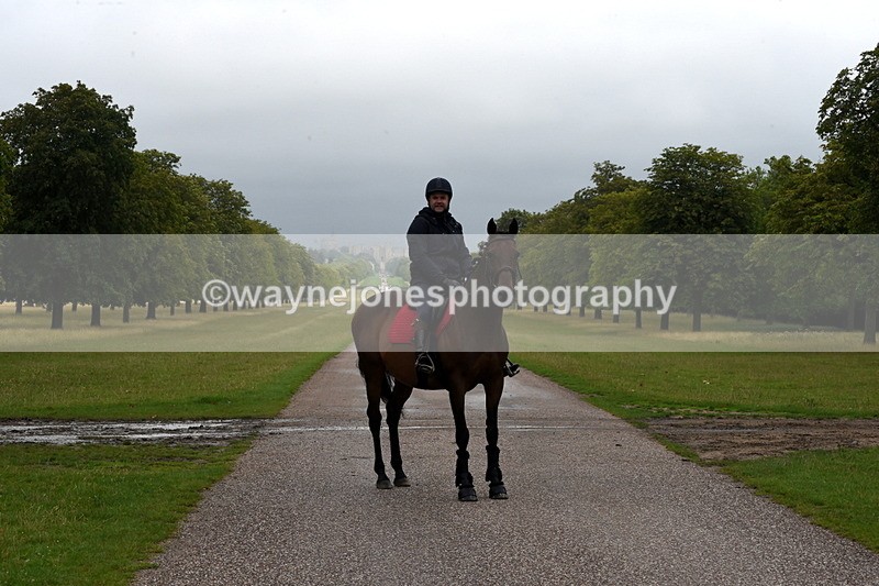 TT3_8317 - Time at Crossing 10:16 to 11:38