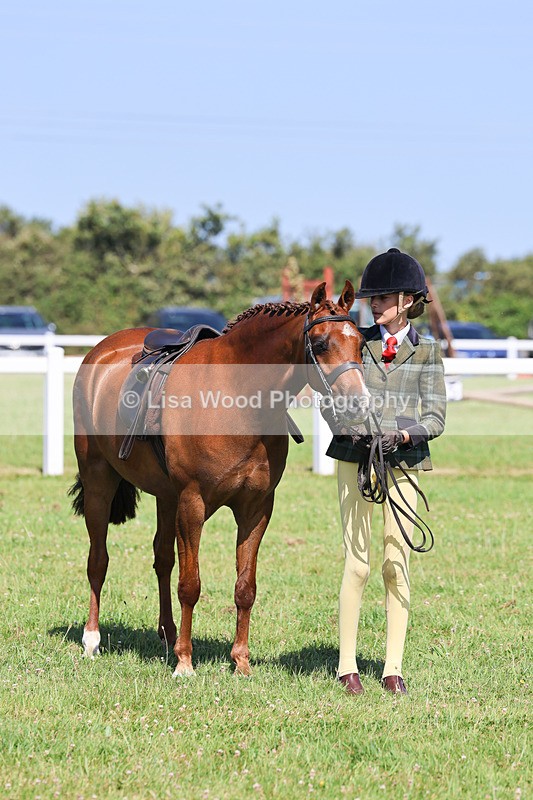 IMG_2025 - Class 34: Show Hunter Pony 153cm and under