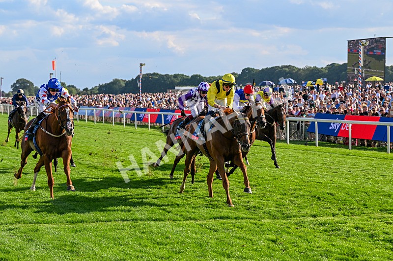 220826-Race 7-Raammee-1879 - Race 7 17.20pm Sky Bet Dav Reid Finale Handicap