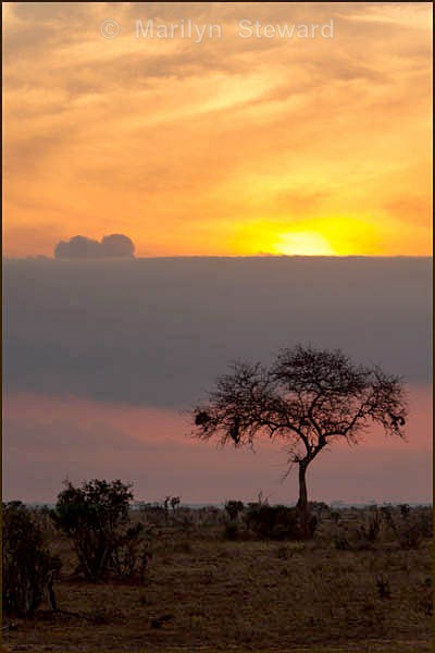 Day break - Kenya, Tsavo East