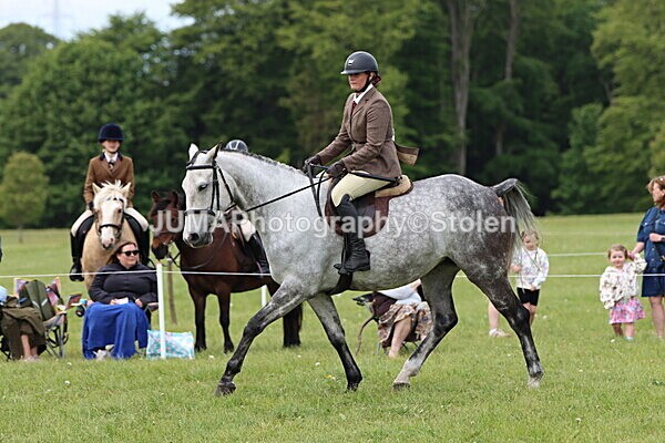 IMG_2839 - Working Hunter