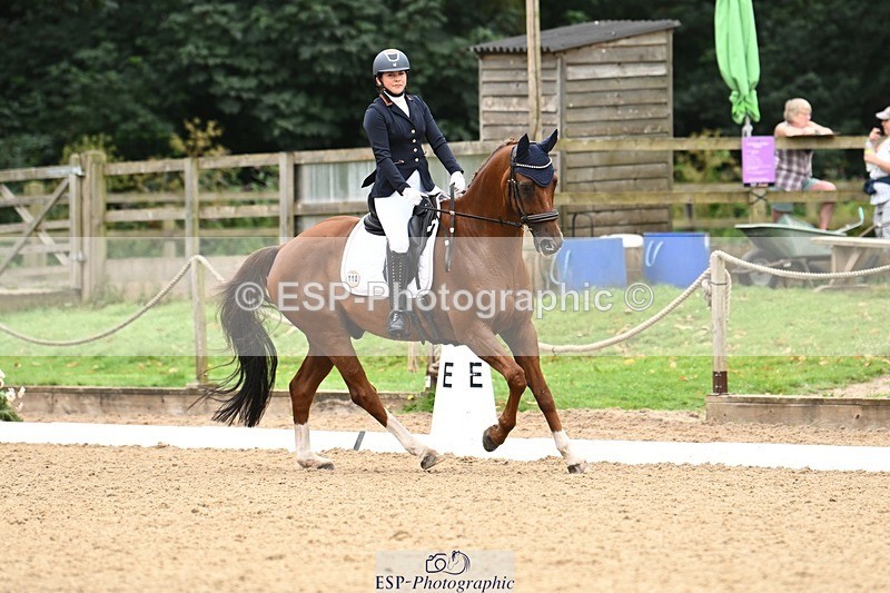 240811-102228-04999 - 110-Helen.Kitto-Da.Vinci.IV