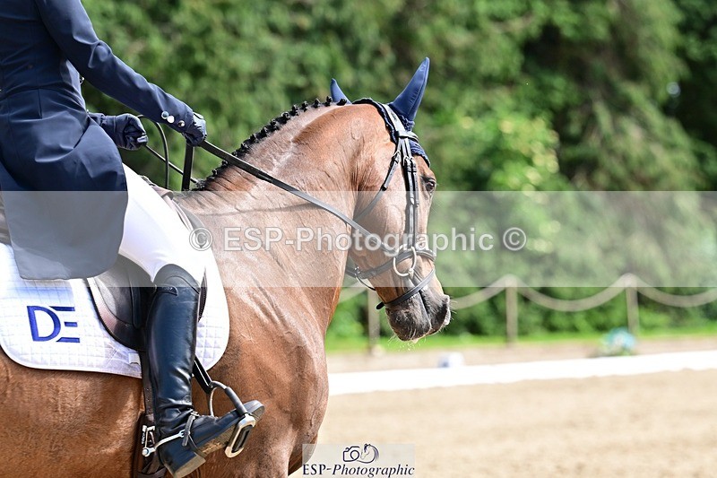 260529A-153529-10424 - C-384-Katie.Maclean