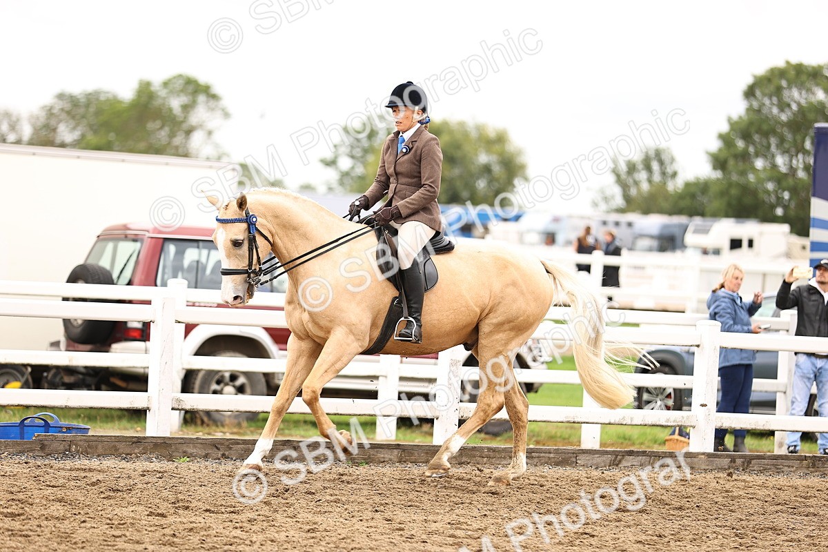SBM_01367 - Class 54 - Riding Club Horse Pony