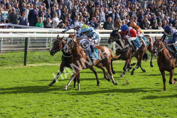 141023-Race 2-Whiskey Pete-0351 - Race 2 1.50pm Play Coral 'Racing-Super-Series' For Free Nursery Handicap