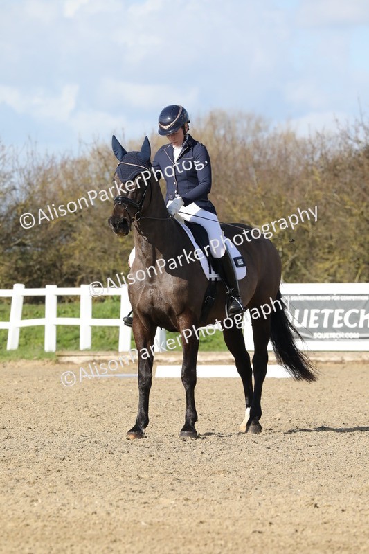 20260314-5028 - CT6 - Elementary 1