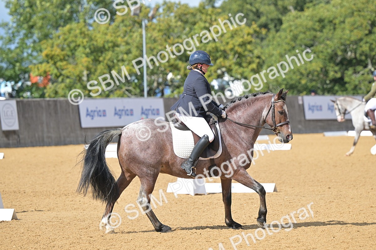 SBM_10942 - D3 - Small Tour Championship Intro 3