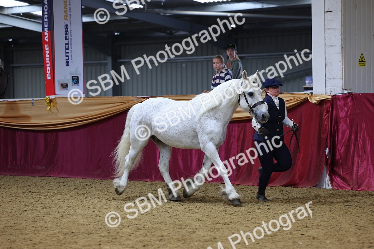 SBM_22773 - Class 903 - Supreme Final - IH Pre Vet