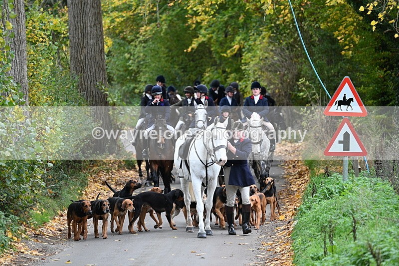 WJ7_7130 - Walk Home..