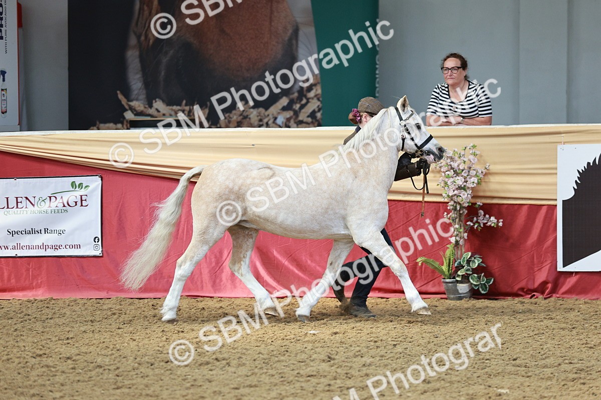 SBM_04740 - Class 7R - Regional IH Diamond