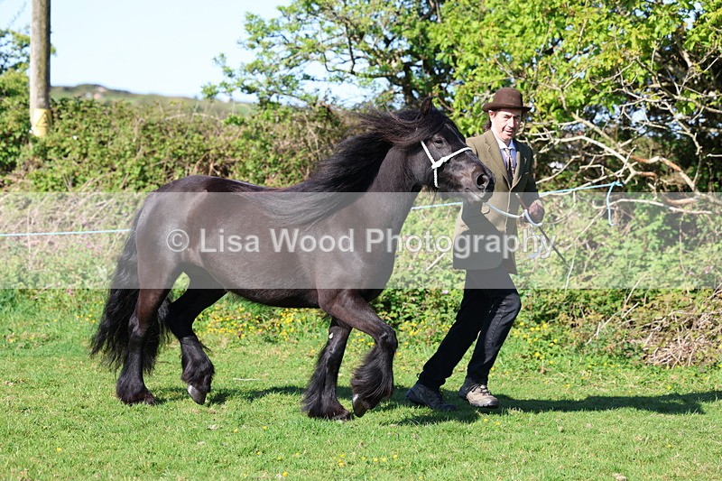 3E7A8570 - Class 13: M & M Large Breeds