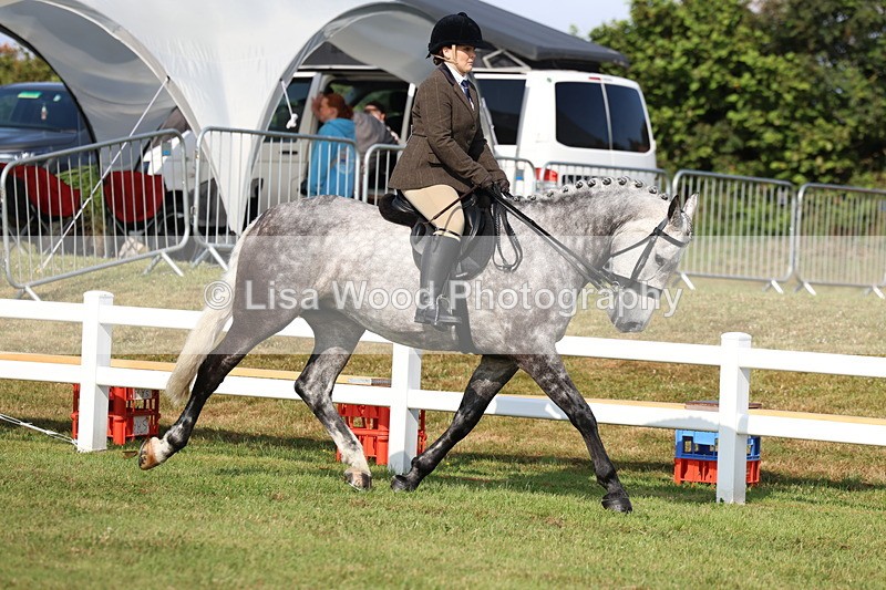 3E7A8523 - Class 3: Rising Star S/L Hunter