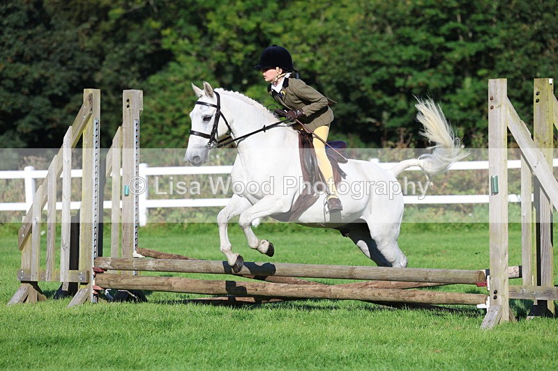 3E7A7503 - Class 1: Novice Working Hunter Pony