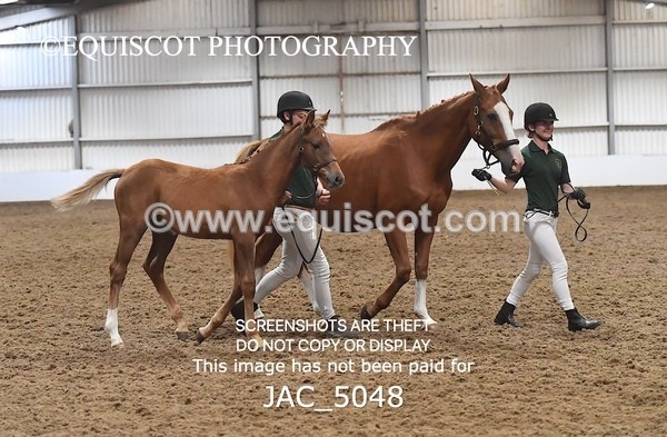 JAC_5048 - 9 Zinzipan