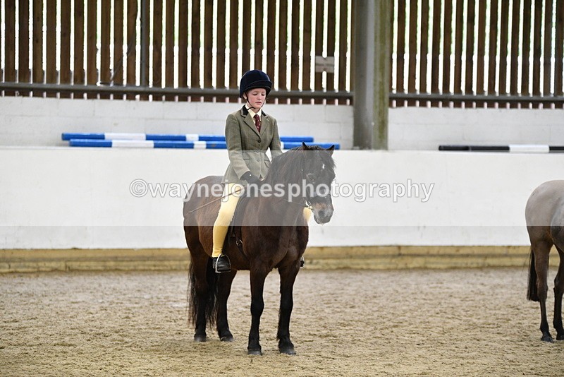 WJ5_7050 - Class 10 Childs Pony