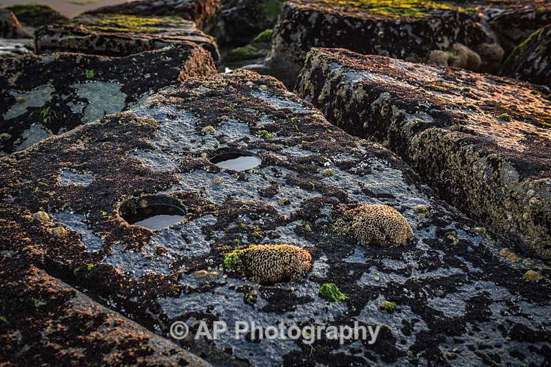 ACP_1260-2 - Tywyn