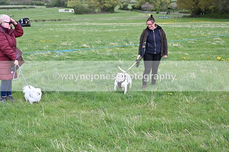 WJ6_8011 - Class 2 Best Pedigree