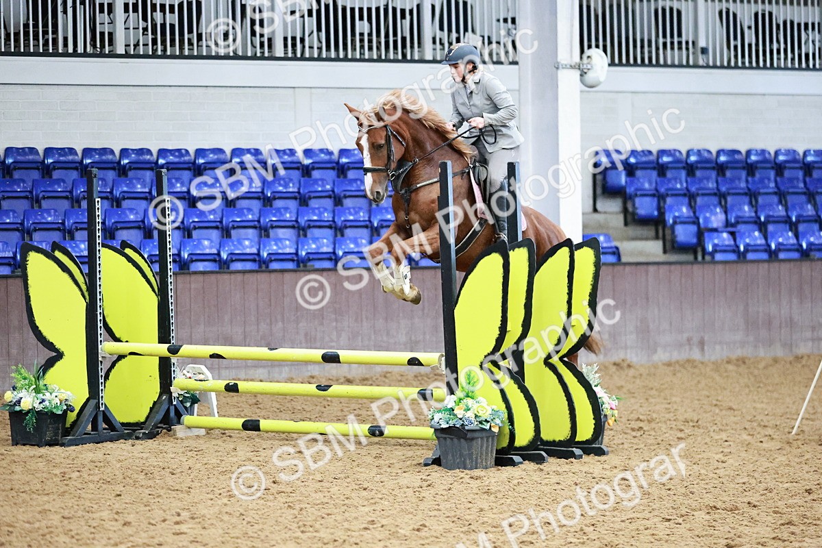 SBM_000090 - Class 1 - Clear Round Show Jumping 80cm