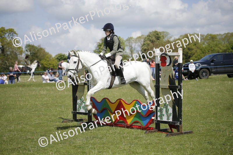 20250427-3559 - Class 14 - Absolute Novice 70cm