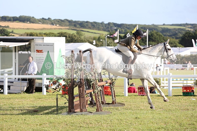 JPP_3499 - Class 22: Working Hunter 90cm