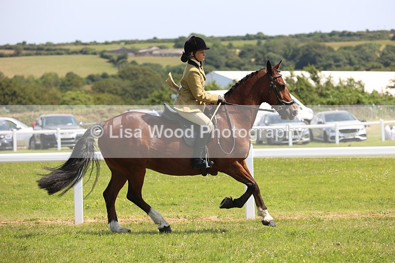 JPP_3365 - Class 22: Working Hunter 70cm