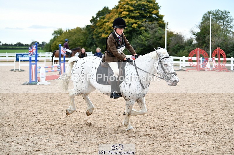 241013B-154850-02017 - Cls 6 80cm