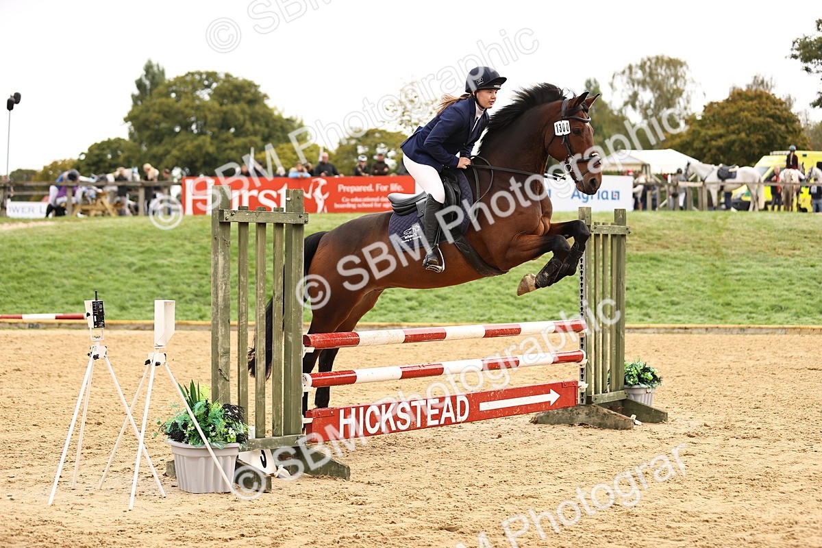 SBM_58496 - J41 - Grand Tour Horse & Pony 95cm