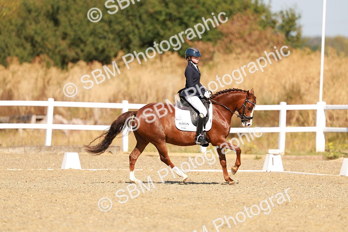 SBM_016810 - Class 9 - N5 Bronze 9.30.10.19