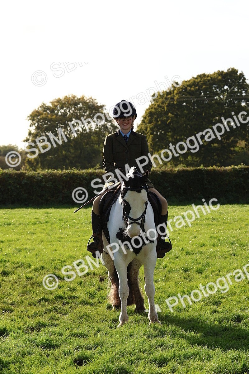 SBM_52630 - S13 - Pony Club Pony