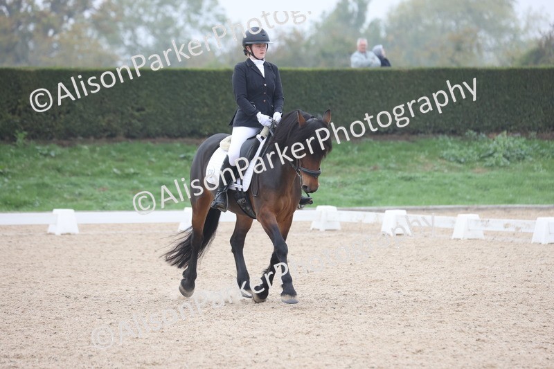 20251012-0510 - Class 4 - Novice 6