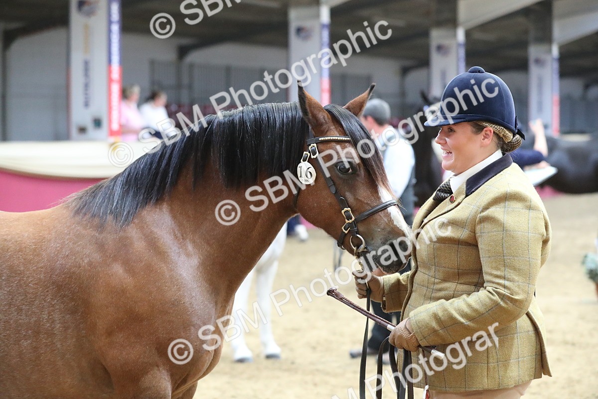 SBM_06416 - Class 9R Regional- IH Pre Vet