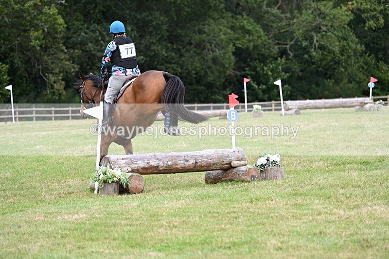 WJ7_9294 - 60cm Time 12:51 to 13:18