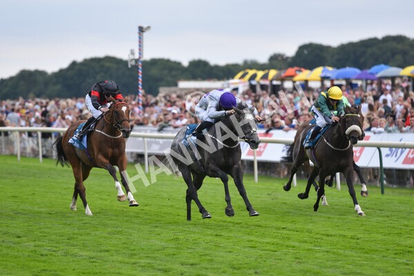 yr23072022r6-32 - Race 6 5.00pm Sky Bet Partnership with Support Dogs Stakes