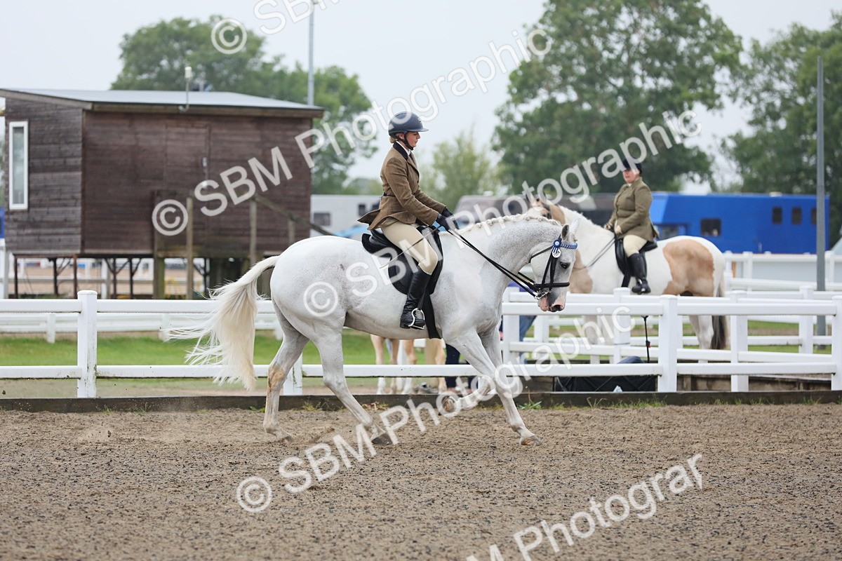SBM_20045 - Class 802 - Ridden Groom - Helpers class