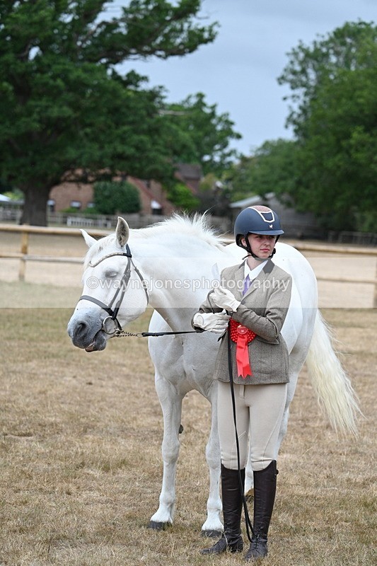 WJ7_9385 - Prettiest Mare Champs