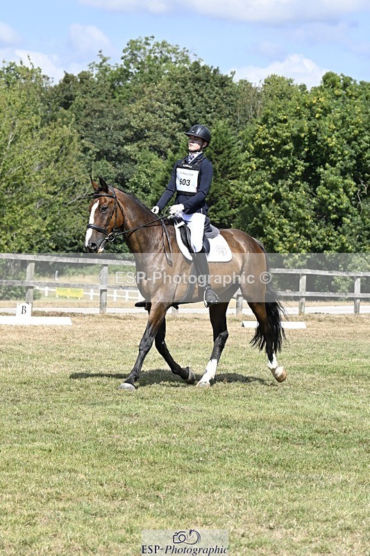 250822A-113232-22266 - DR 11.00 to 12.00