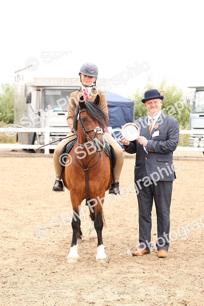 SBM_06278 - Class 57b -  Style & Performance - 60cm (20+)