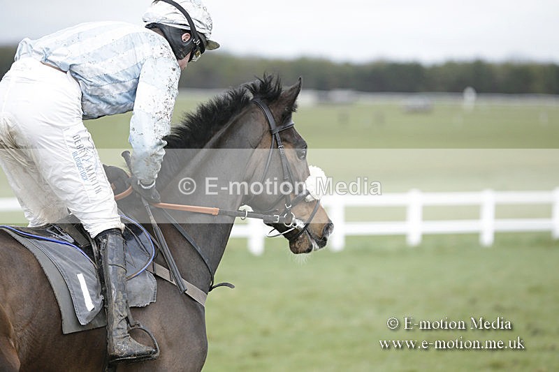 PtP 150320 0464 - New Forest Point-to-Point Larkhill 15/03/20