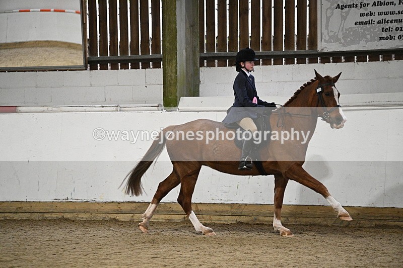 WJ7_4429 - Class 17 Ridden Cob