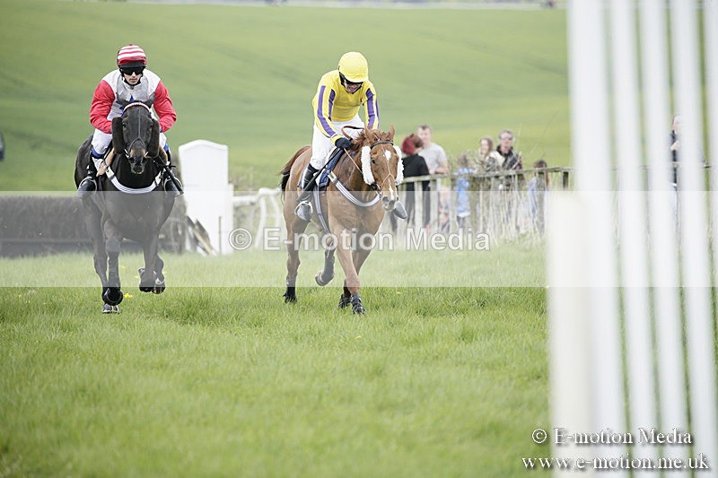 PtP 170417 25 - Old Berks Point-to-Point Lockinge 17/04/17