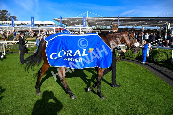 111025-Race 3-Laazm-0454 - Race 3 Coral 'Daily Reward Shaker' For Free Nursery Handicap at York